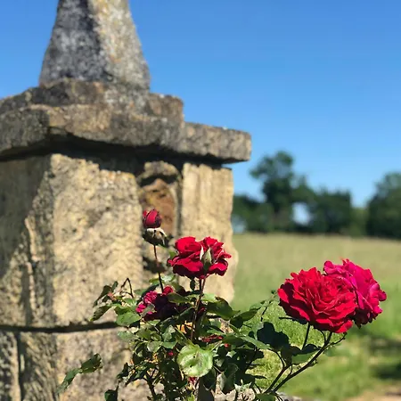 Charming Mas With Medieval Church Views Sainte-Croix-de-Beaumont